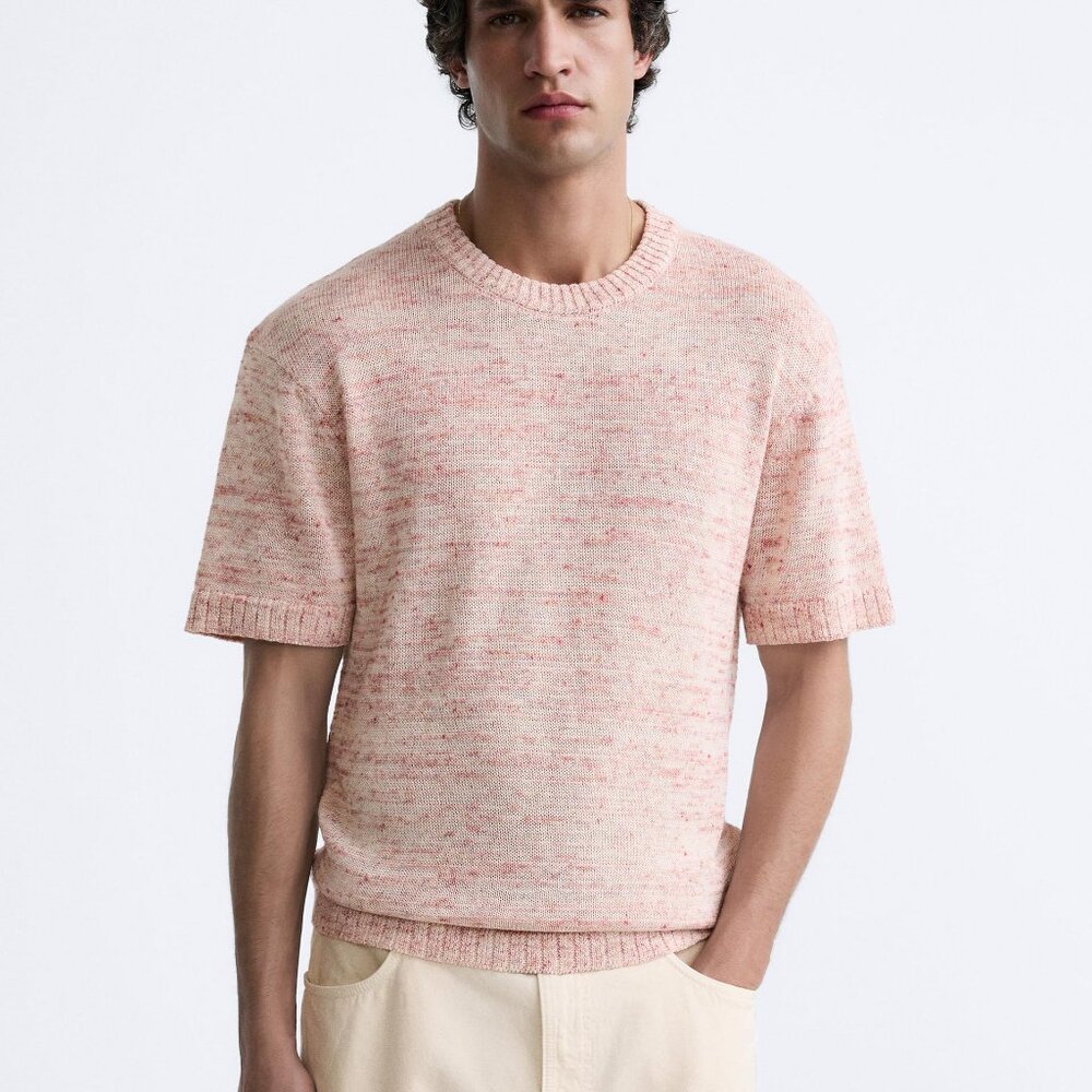 Zara Crew Neck Pullover Short Sleeve Knit Top